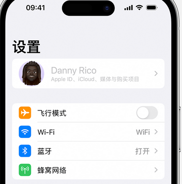 新宾appleID维修服务iPhone设置中Apple ID显示为灰色无法使用 