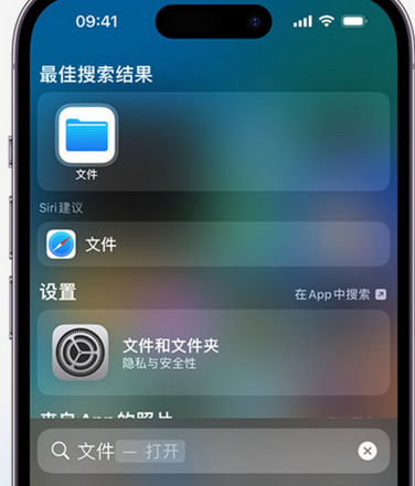 新宾apple维修中心分享iPhone文件应用中存储和找到下载文件