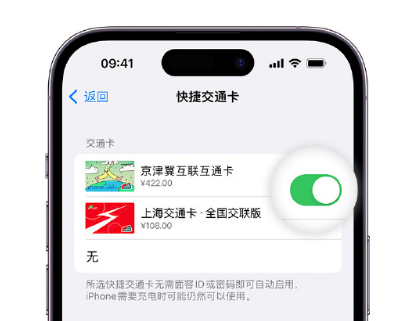 新宾apple维修点分享iPhone上更换Apple Pay快捷交通卡手绘卡面 