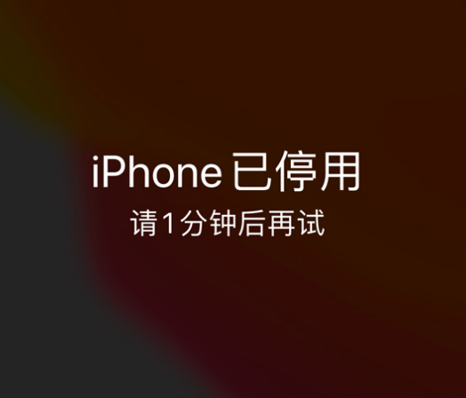 新宾苹果手机维修分享:iPhone 显示“不可用”或“已停用”怎么办？还能保留数据吗？ 