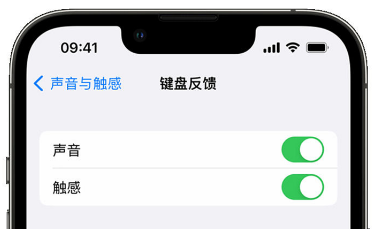 新宾苹果手机维修分享iPhone 14触感键盘使用方法 