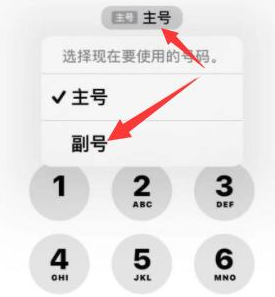 新宾苹果14维修店分享iPhone 14 Pro Max使用副卡打电话的方法 