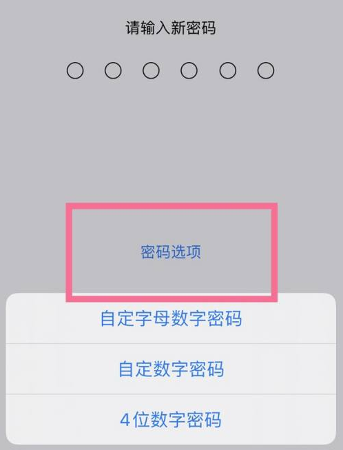 新宾苹果14维修分享iPhone 14plus设置密码的方法 