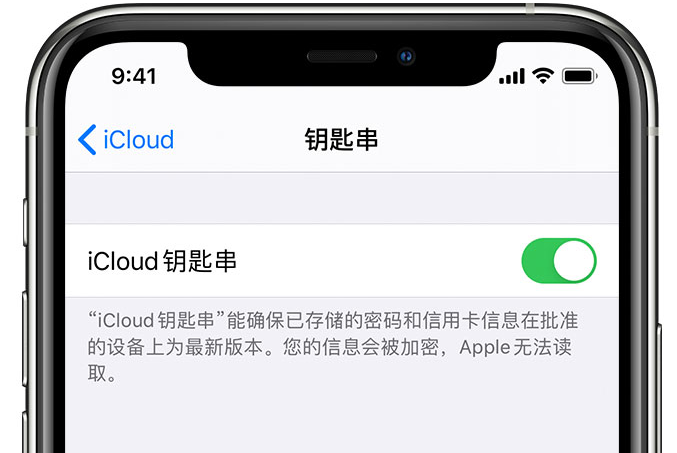 新宾苹果手机维修分享在 iPhone 上开启 iCloud 钥匙串之后会储存哪些信息 