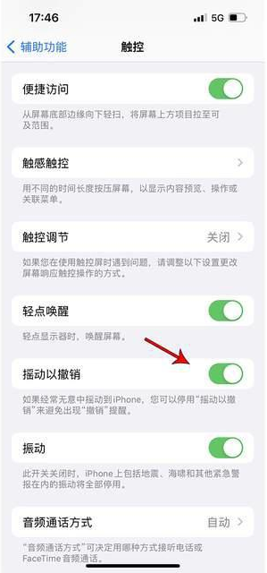 新宾苹果手机维修分享iPhone手机如何设置摇一摇删除文字 